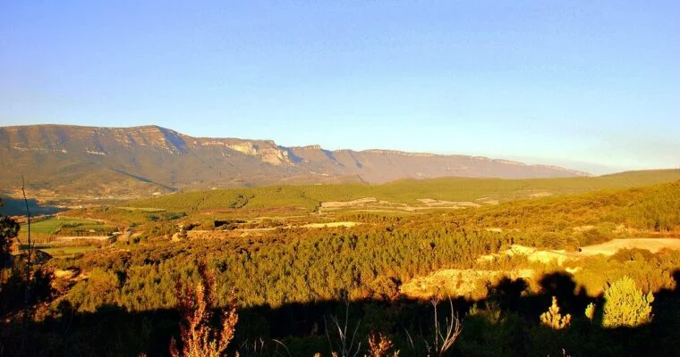 Descubre la impresionante belleza natural de la Sierra de Santa Ana en Soria – ¡Planifica tu aventura ahora!