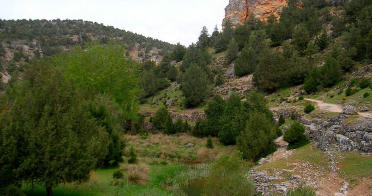 Descubre la impresionante belleza natural del Desfiladero de los Hocinos en Burgos