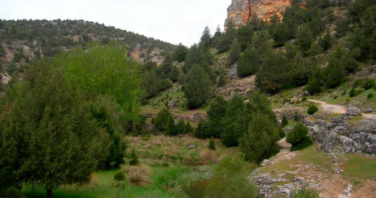 Descubre la impresionante belleza natural del Desfiladero de los Hocinos en Burgos