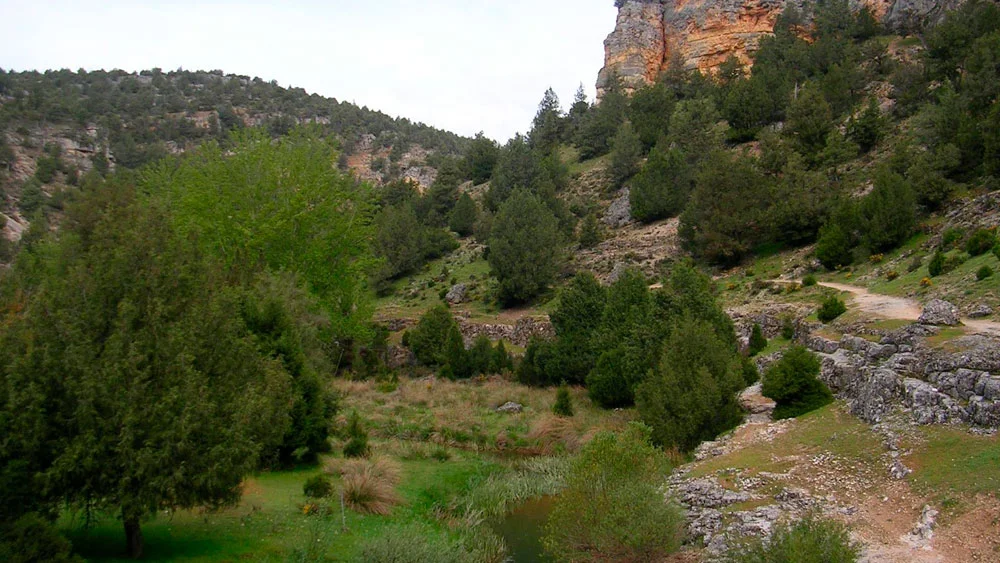 Descubre la impresionante belleza natural del Desfiladero de los Hocinos en Burgos